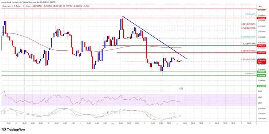 Dogecoin价格图表显示关键水平