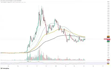 Zcash (ZEC) 交易量激增77%，市场兴趣重燃引发关注