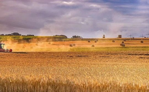 美伊冲突如何通过能源与化肥市场冲击全球粮食安全？