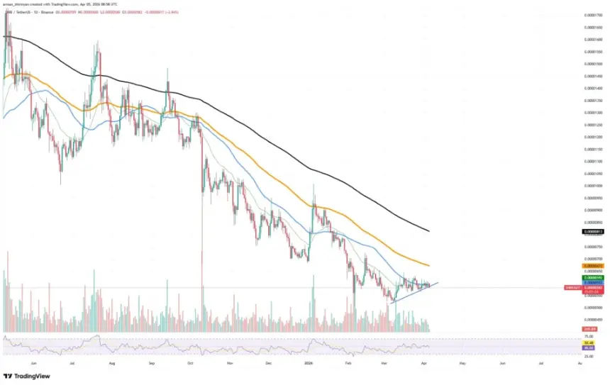 SHIBUSDT Chart by TradingView