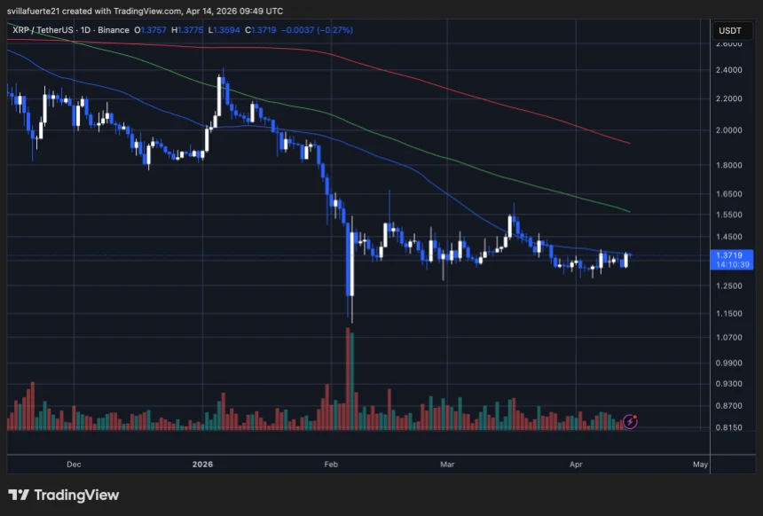 XRP price testing the 50-day MA | Source: XRPUSDT chart on TradingView