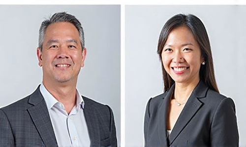 Graphene & Solar Technologies任命Kristine Woo为临时首席财务官，接替辞职的David Halstead
