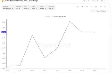 比特币“10/10”周年再现高杠杆：数据揭示暴跌前交易员加仓而非减仓