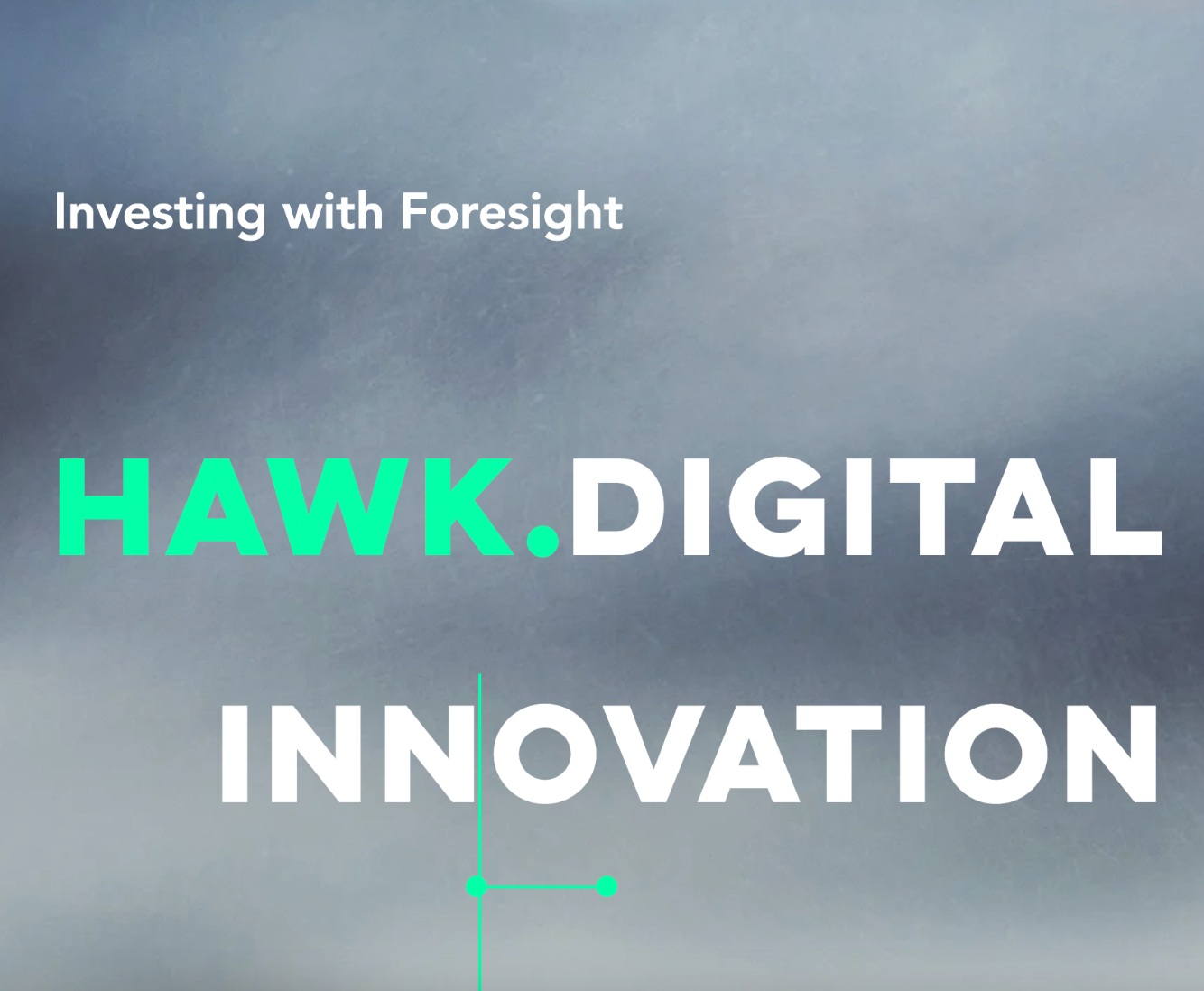 Hawk Digital Innovation