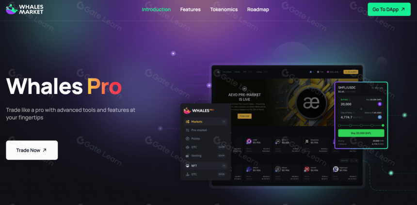 What are Crypto Pre-Markets?