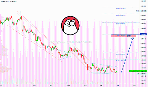 1000CAT 210%增长目标与山寨币市场分析