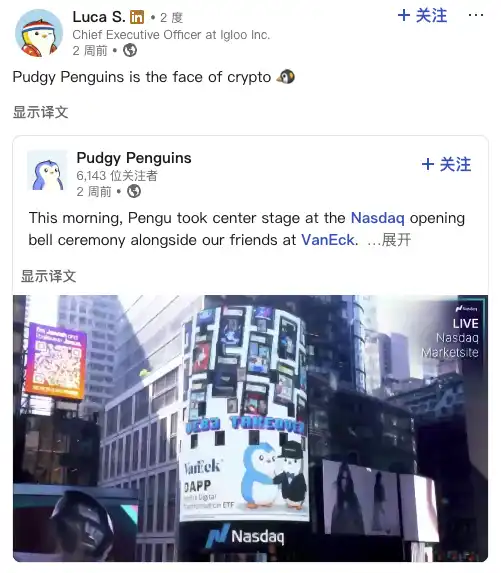 小企鹅能否成为金融界的代言人？揭秘$PENGU暴涨背后的故事