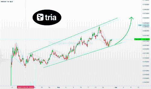 TRIAUSDT在上升通道中持续上涨趋势