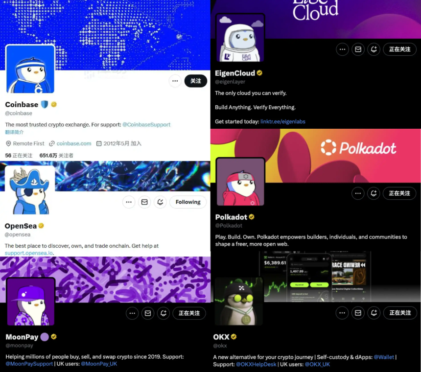 小企鹅能否成为金融界的代言人？揭秘$PENGU暴涨背后的故事