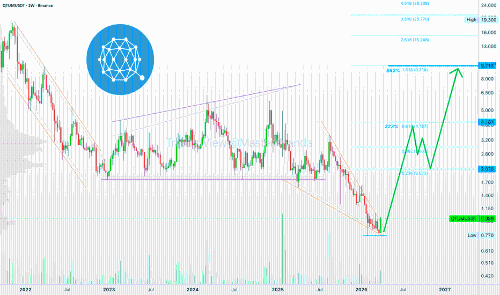 Qtum与山寨币市场：长期增长的机遇
