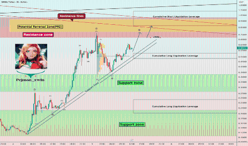 SIREN暴涨500%——能否突破1美元大关？