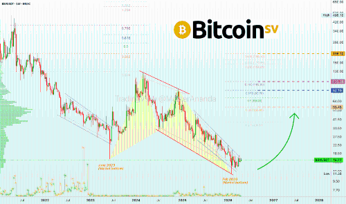 Bitcoin SV (BSV)：触底后将迎来长期增长