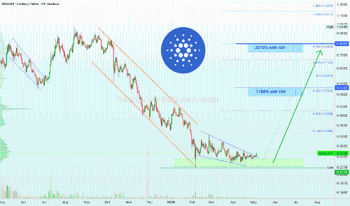 Cardano (ADA) 开始行动——最后的机会！(快速突发增长)
