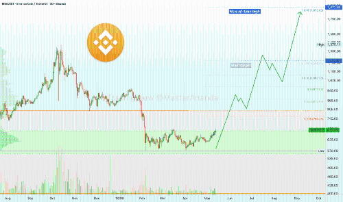 Binance Coin (BNB)能否再创新高？市场分析与前景展望