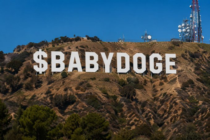 BABYDOGE