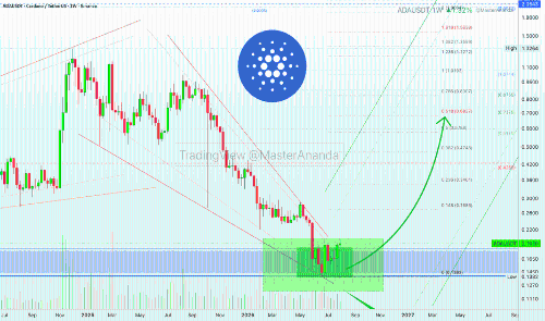 Cardano(ADA)仍具5倍上涨潜力,分析师建议逢低布局长期多单