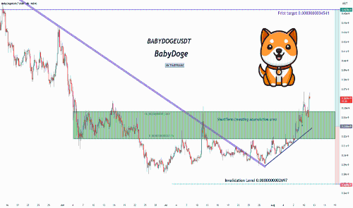 BABYDOGE：图表形态良好，但高风险特性不容忽视