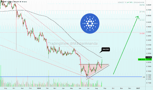 Cardano(ADA)虽处200日均线之下,但长期看涨格局初现