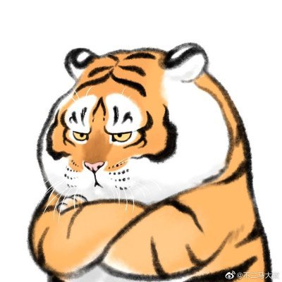 Shuyao Kong (孔姝尧)