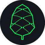 Pine Protocol