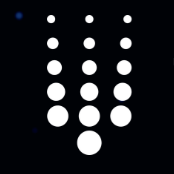 Trident Digital Group